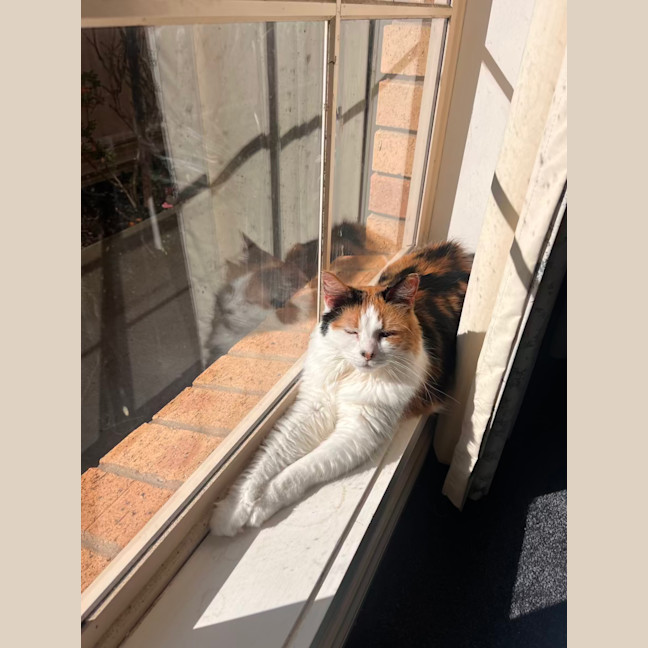 Photo of Miss Sassy Pants
