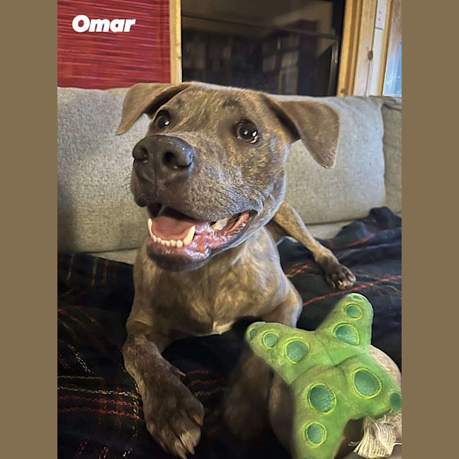 Photo of Omar