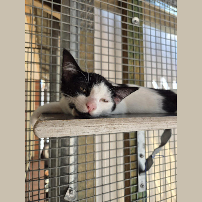 Photo of Cowgirl! 🤠