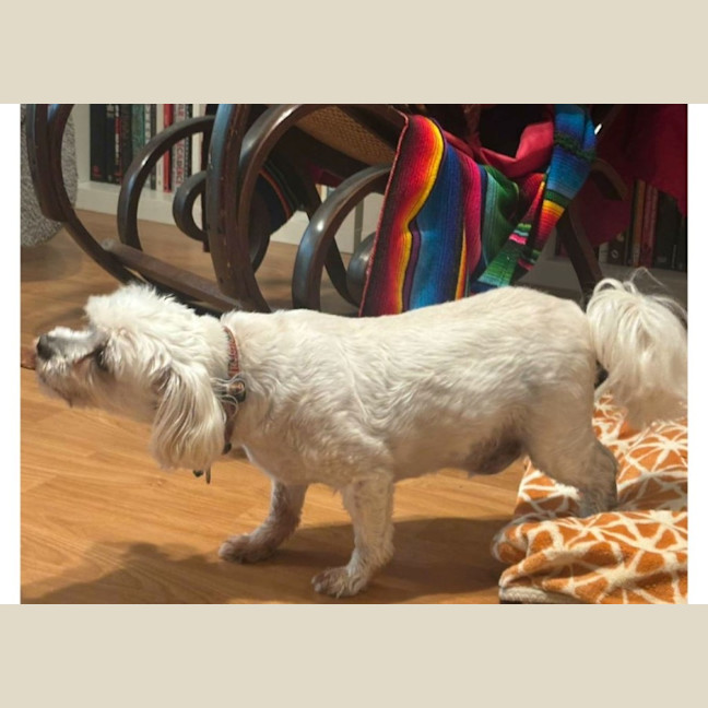 Photo of Wally And Ollie Peggotty