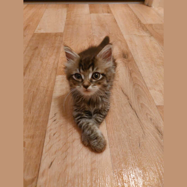 Photo of Lulu