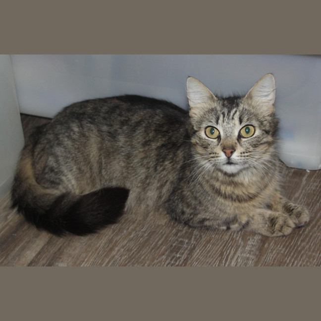 Photo of 💗 Billy Jo 💗