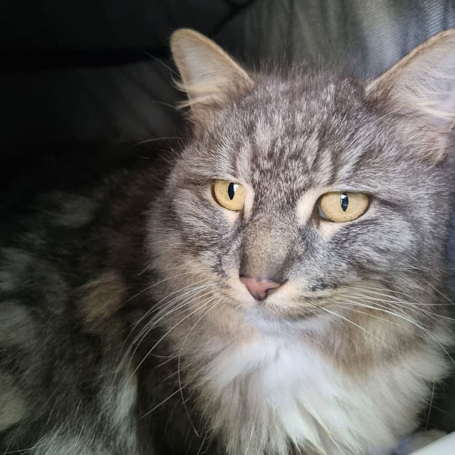 Photo of Lucy