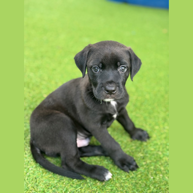 Photo of D1204 Murphy