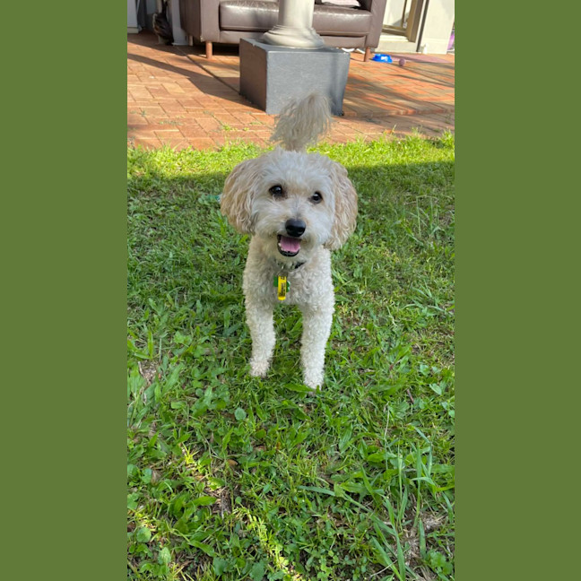 Photo of Pluto / Astro