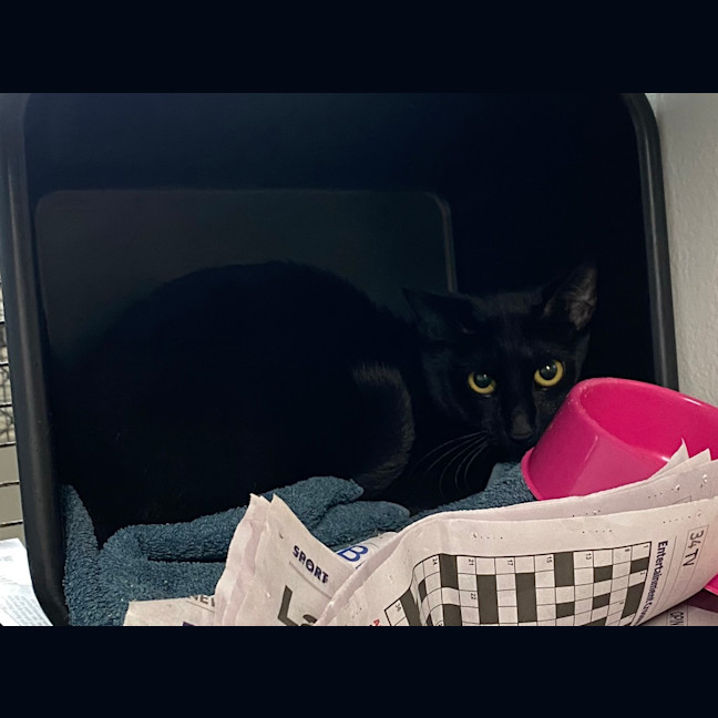 Photo of Emma