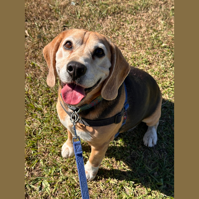 Photo of Bentley