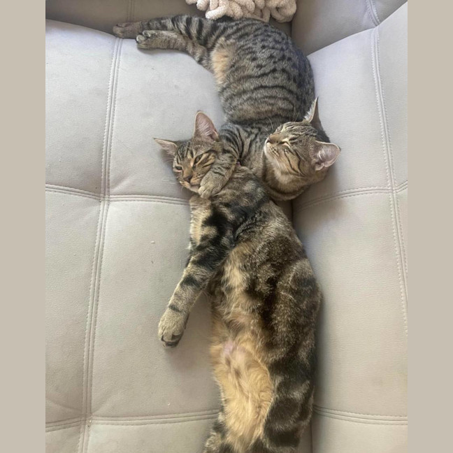 Photo of Tiga & Winnie 