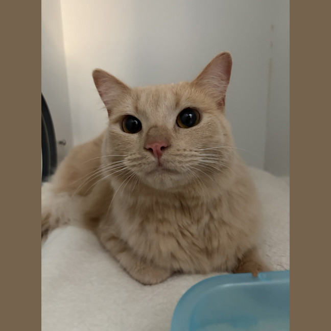 Photo of Mabel