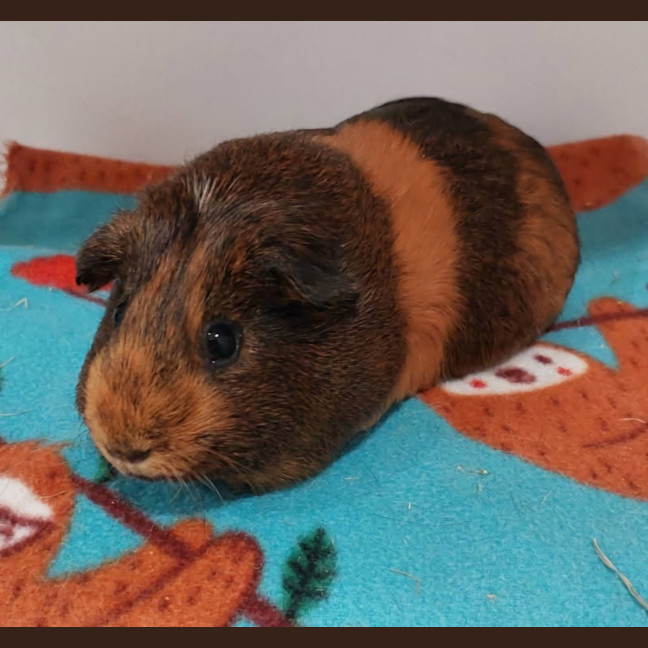 Photo of Charlotte