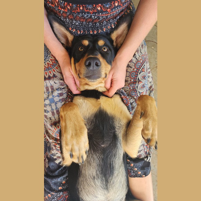 Photo of Narla