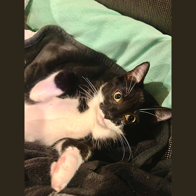 Photo of Phoebe