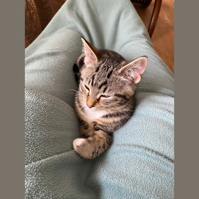 Photo of Timmy (Bob)