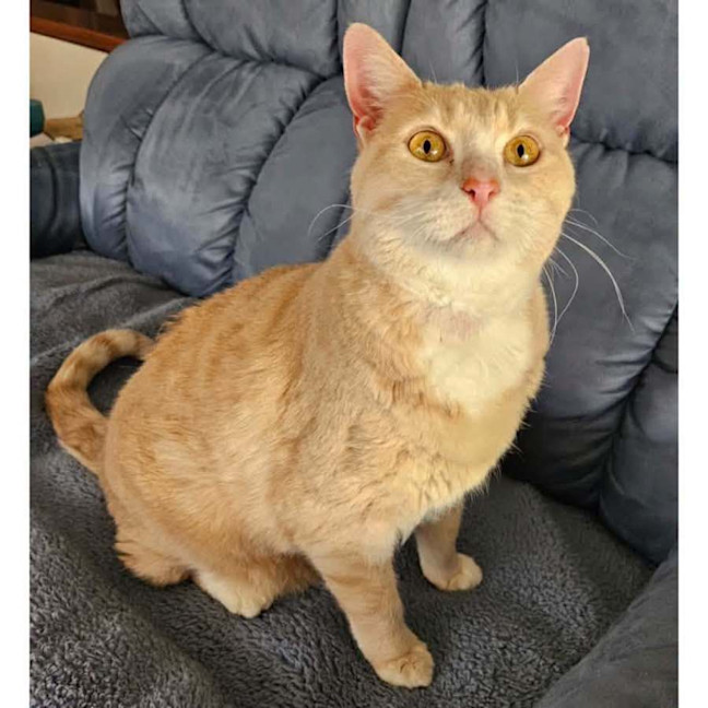 Photo of 14459   Honey