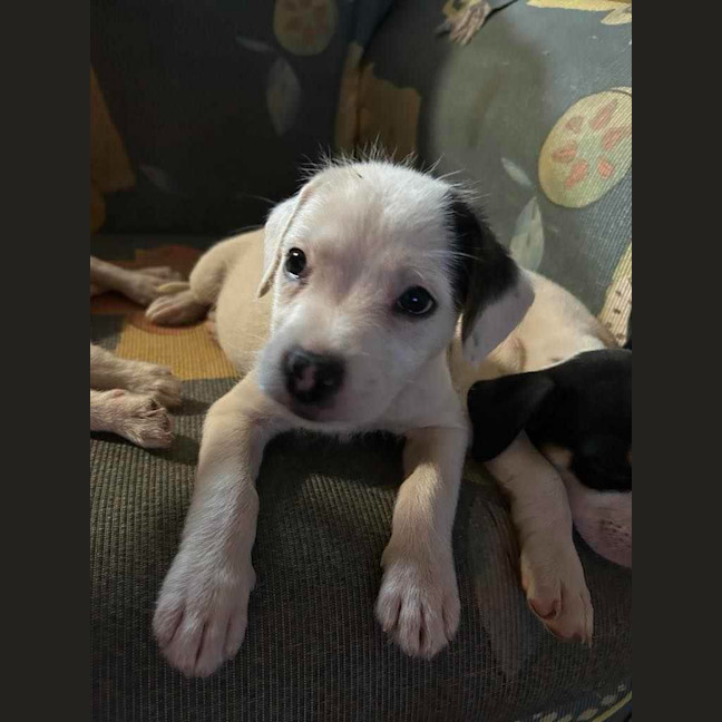 Photo of Lenny