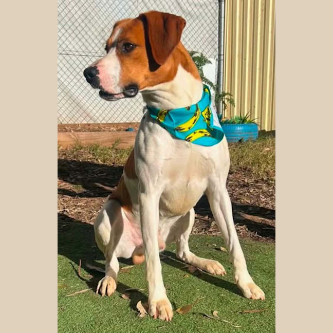 Photo of Bulla