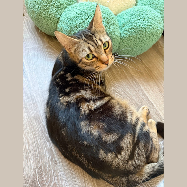 Photo of Wanda