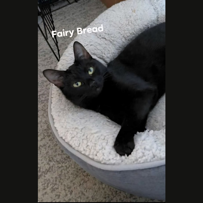 Photo of Fairy Bread