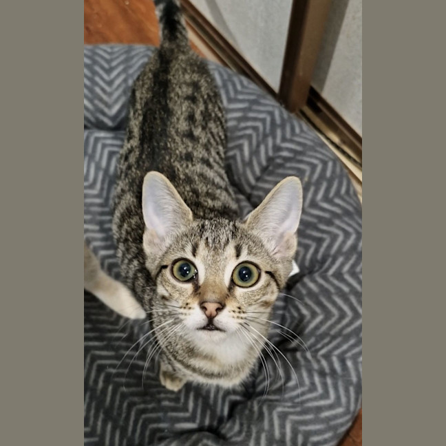Photo of Alice