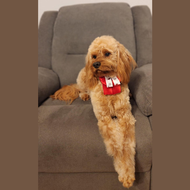 Photo of Jazz