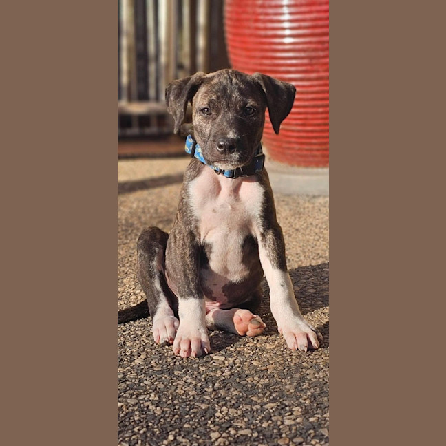 Photo of Jago