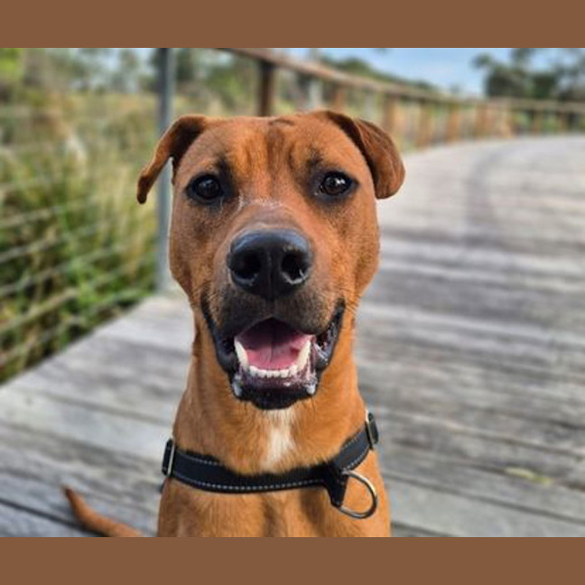 Photo of Holden