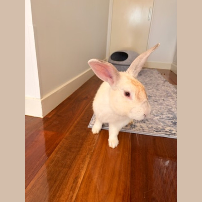 Photo of Victor