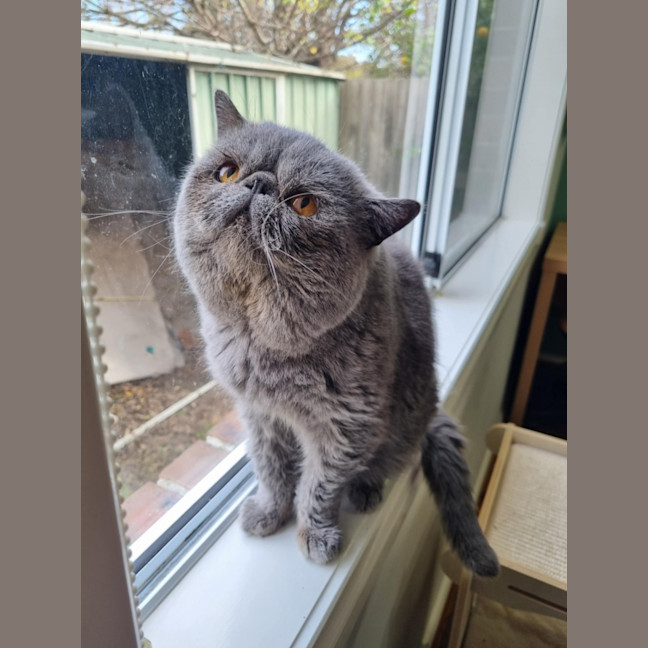 Photo of 🧣Kishmish🧣