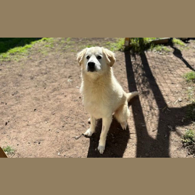 Photo of Maxy