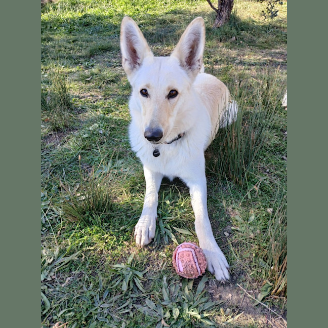 Photo of Princess