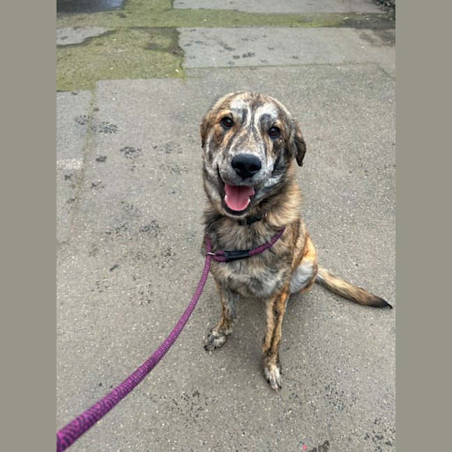 Photo of Frank Sinatra