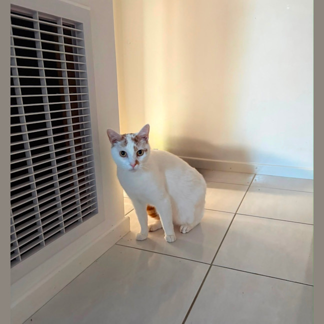 Photo of William