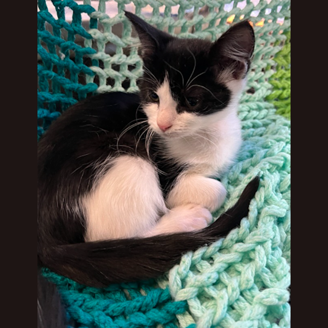 Photo of Beep 