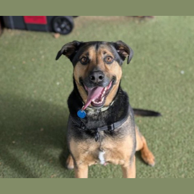 Photo of Maximus