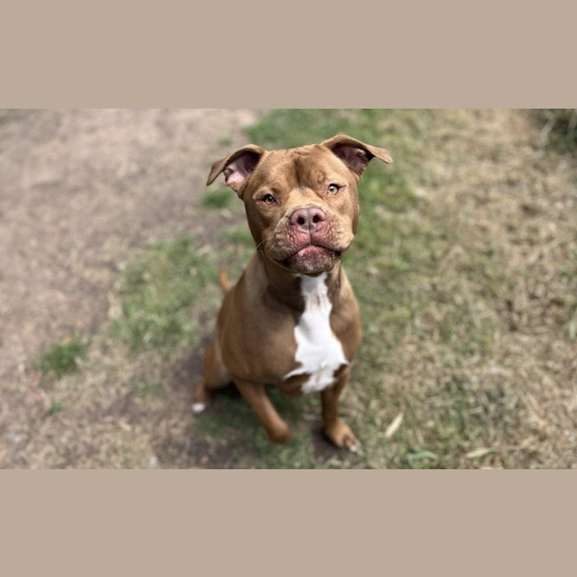 Photo of Major