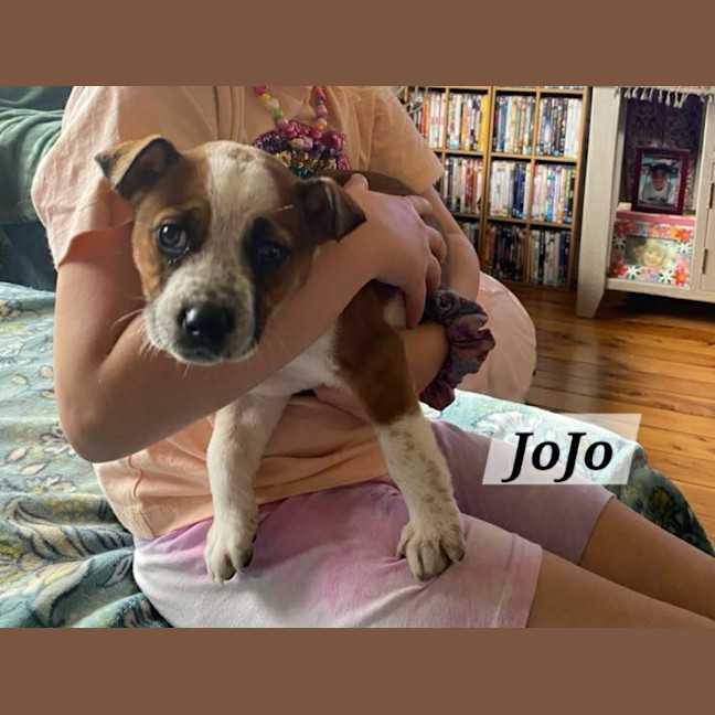 Photo of Jo Jo