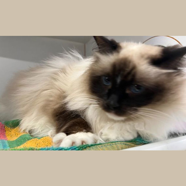 Photo of Missy