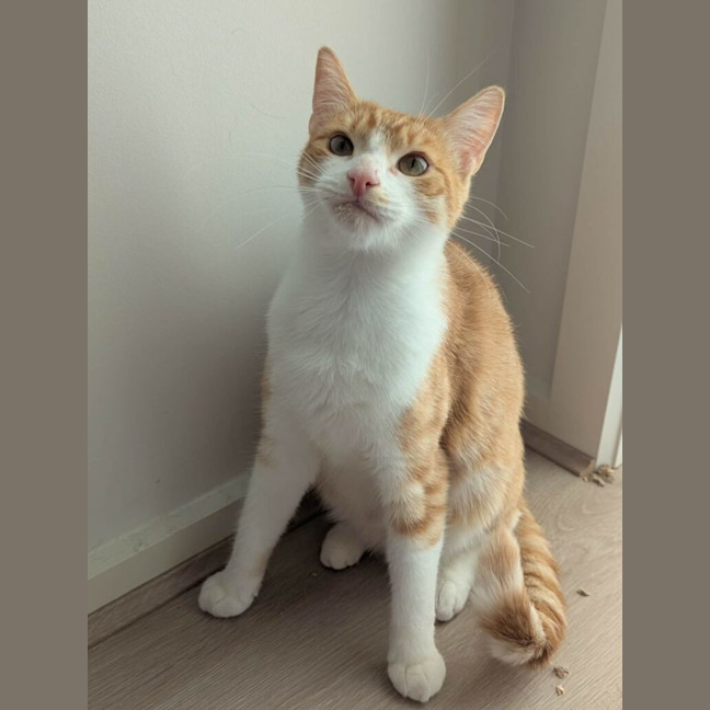 Photo of Theodore