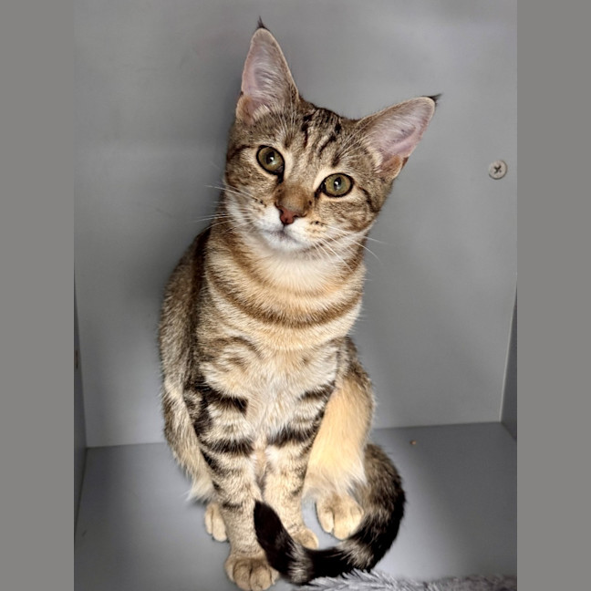 Photo of Lady Lottie