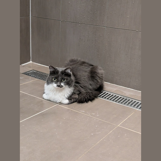 Photo of Cloudy And Midnight