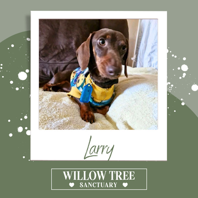 Photo of Larry