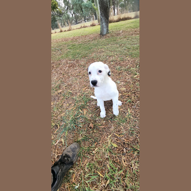 Photo of Dora