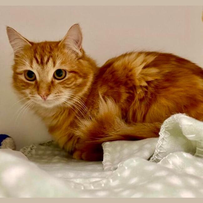 Photo of Sydney And Phoenix