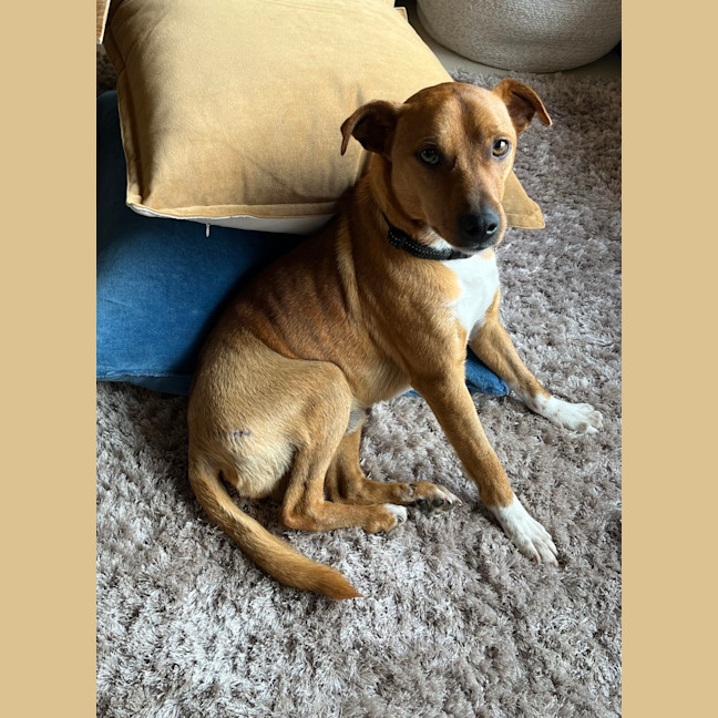 Photo of Diggie Smalls