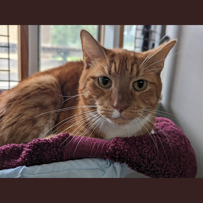 Photo of Charlie