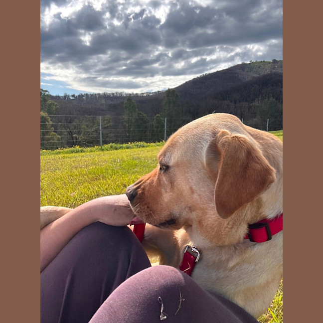 Photo of Molly 