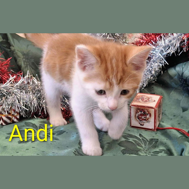 Photo of Andi Meet Me@Petstock Hastings 