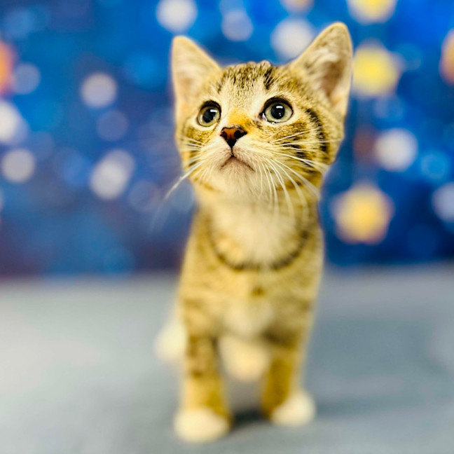 Photo of Bill   Located In Preston 