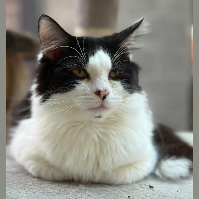 Photo of Eric