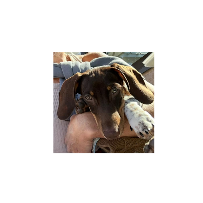 Photo of Silly Billy 